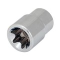 Performance Tool E-16 External Star Socket Star Socket E-1, W81016 W81016